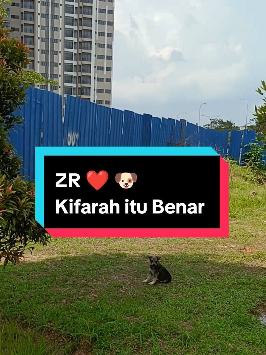 @ZR ๐ฒ๐พ