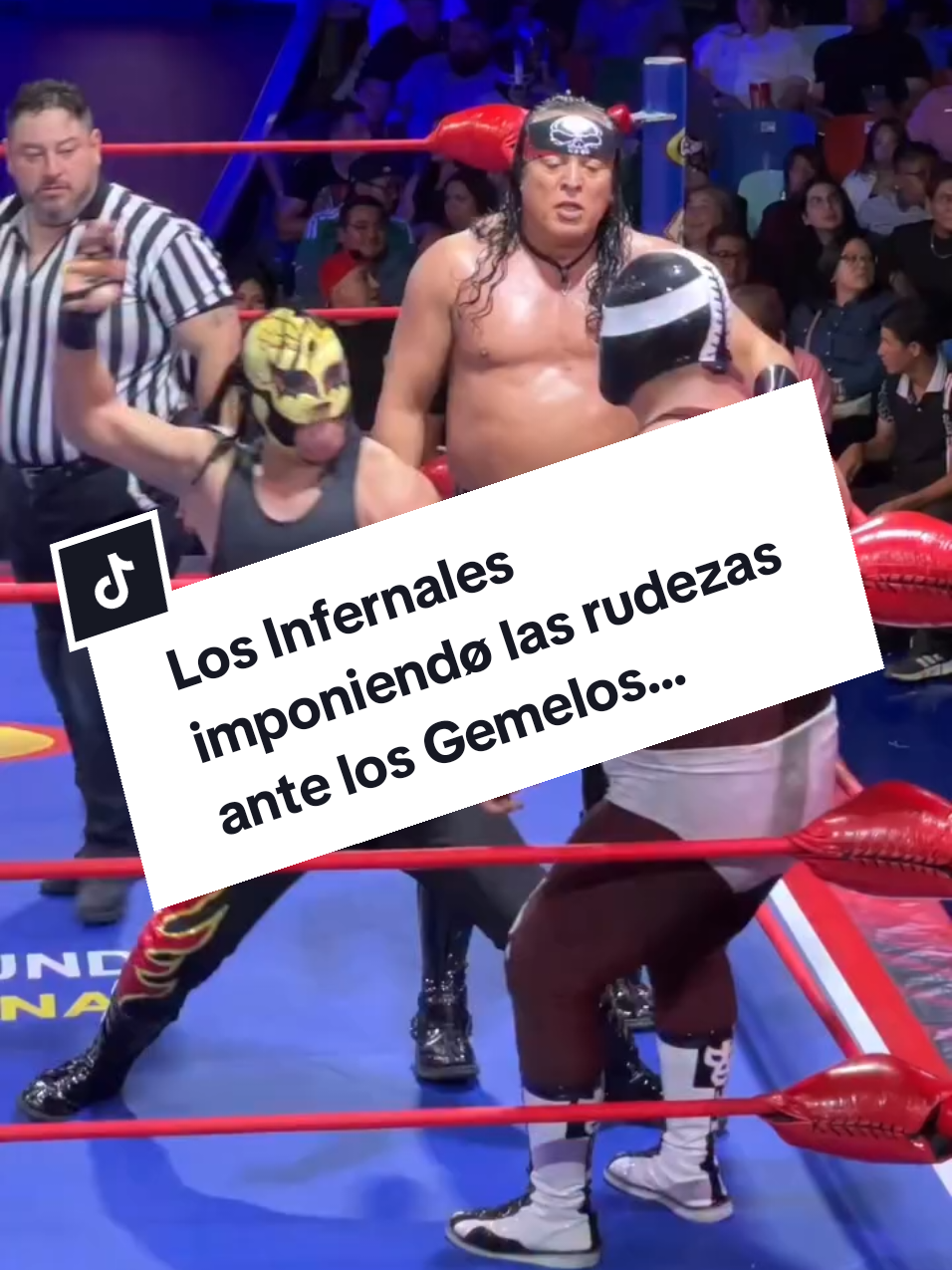 @Damas&Gladiadores Lucha Libre