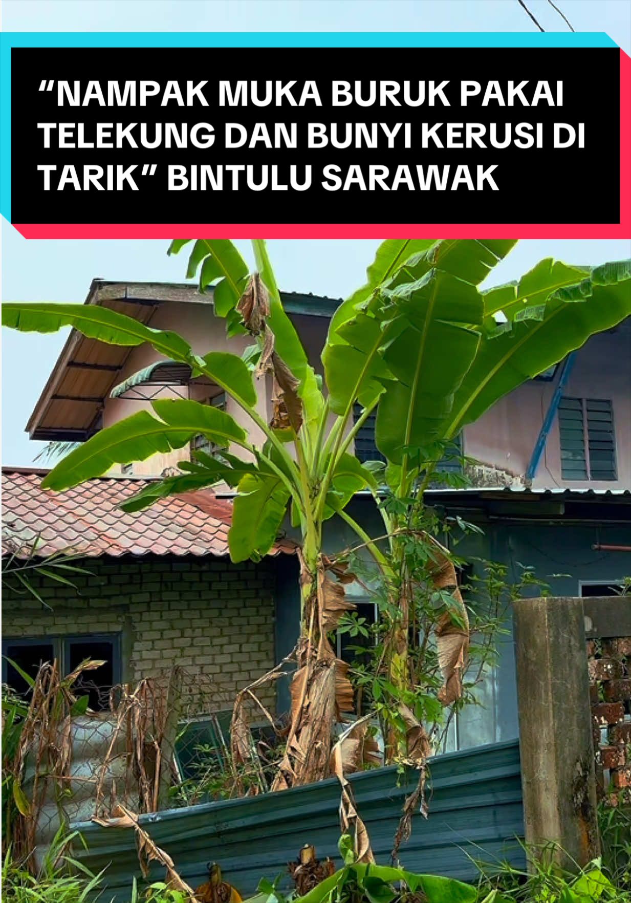 @ɞʟѧċҡ69_ˢᴮᴴᴺ🇲🇾