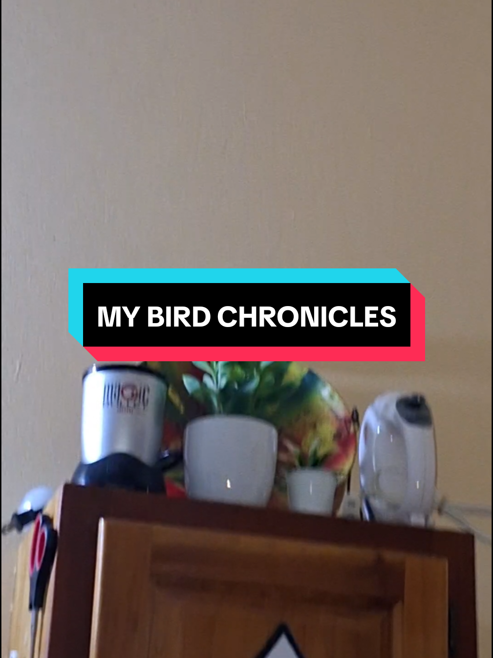 @ms.ettinnesandy
