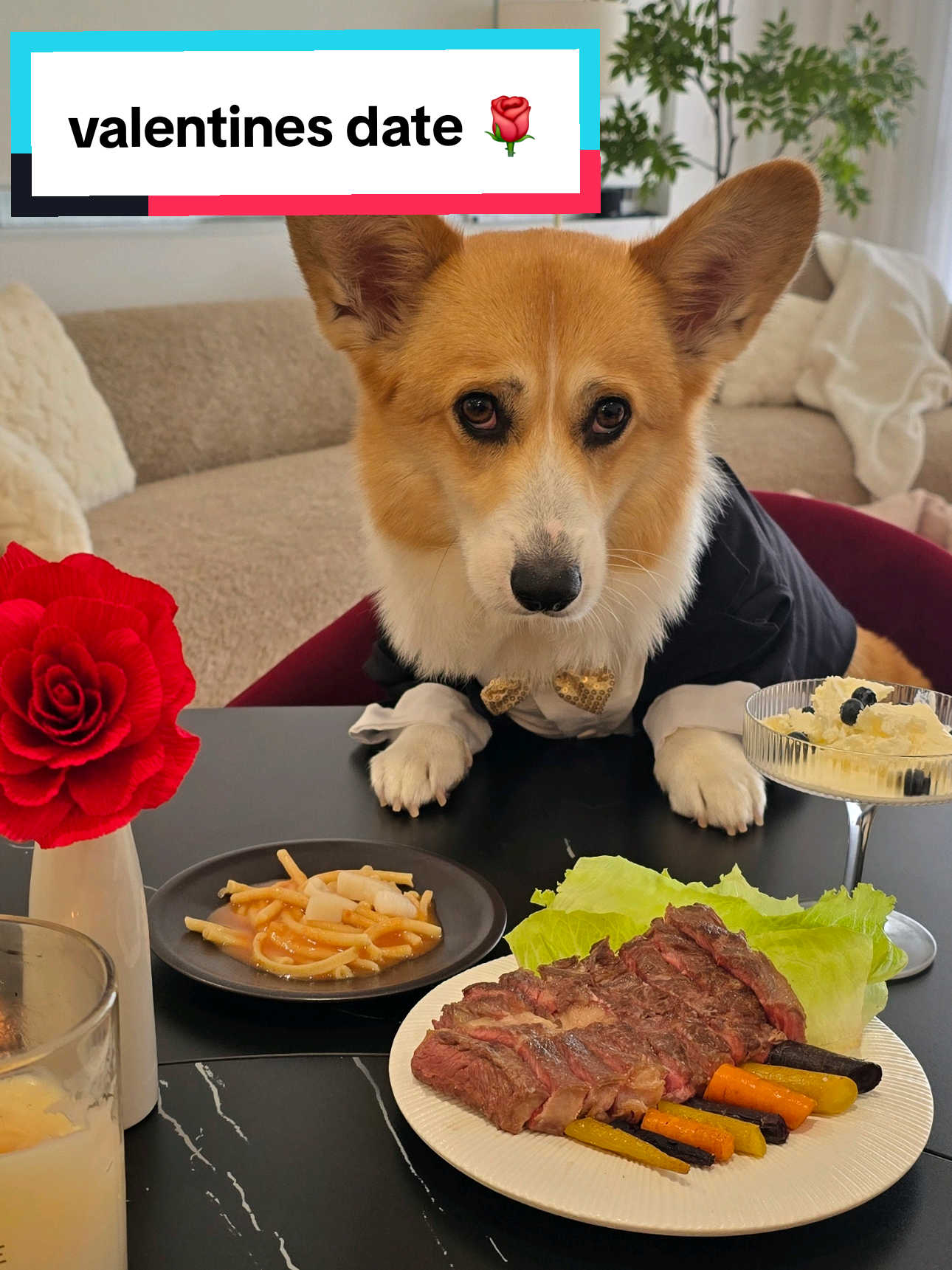@Pocky the Corgi ๐ถ