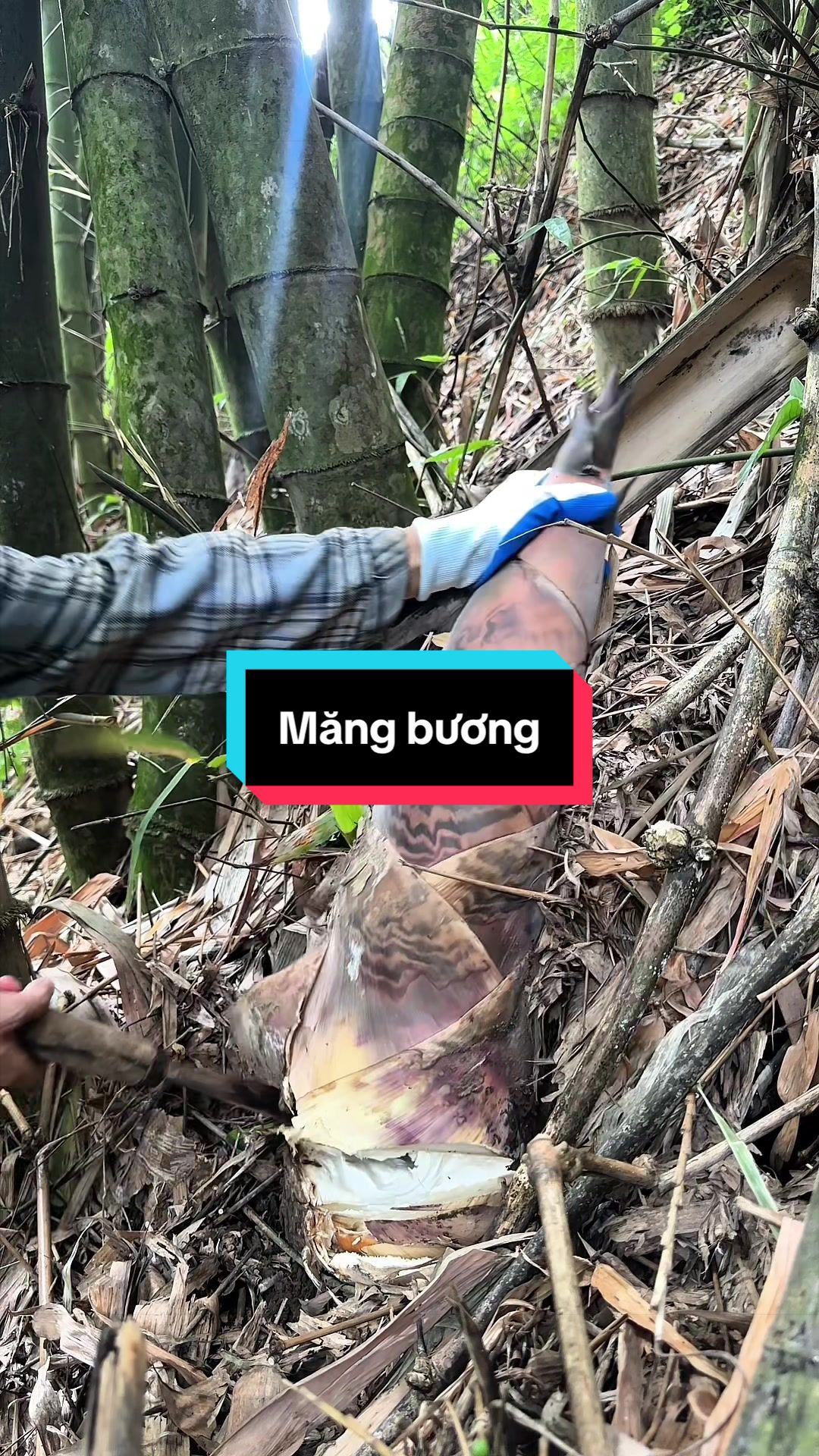 @Nhi Dao Đỏ