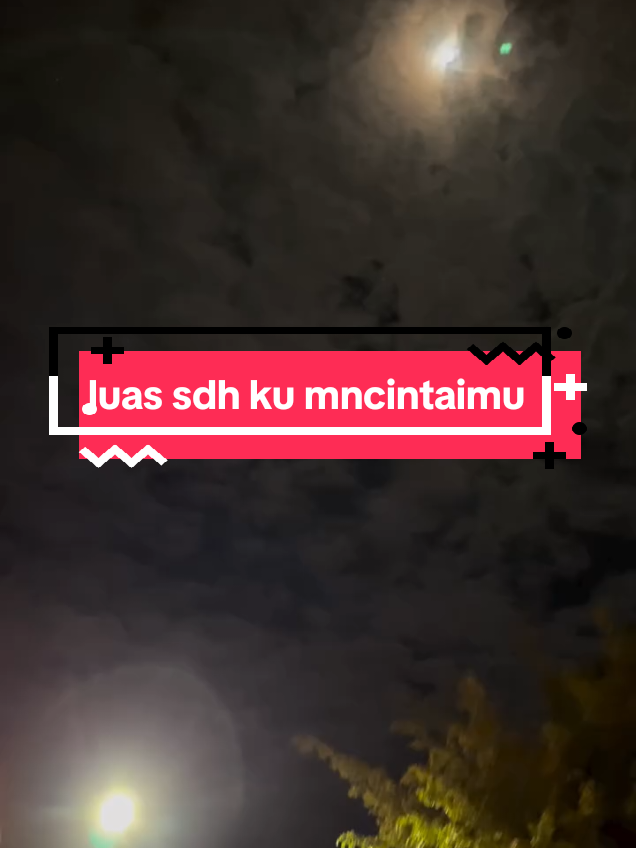 @Ponakan CEO