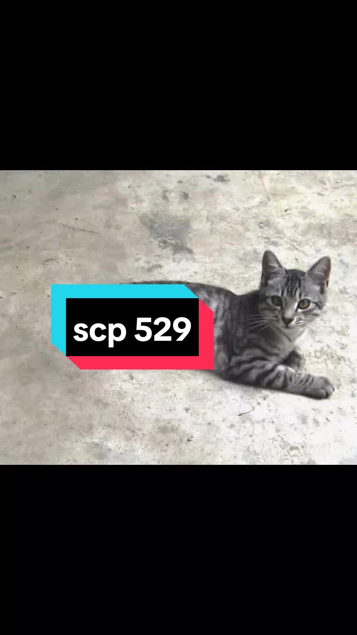 @STAR SCP
