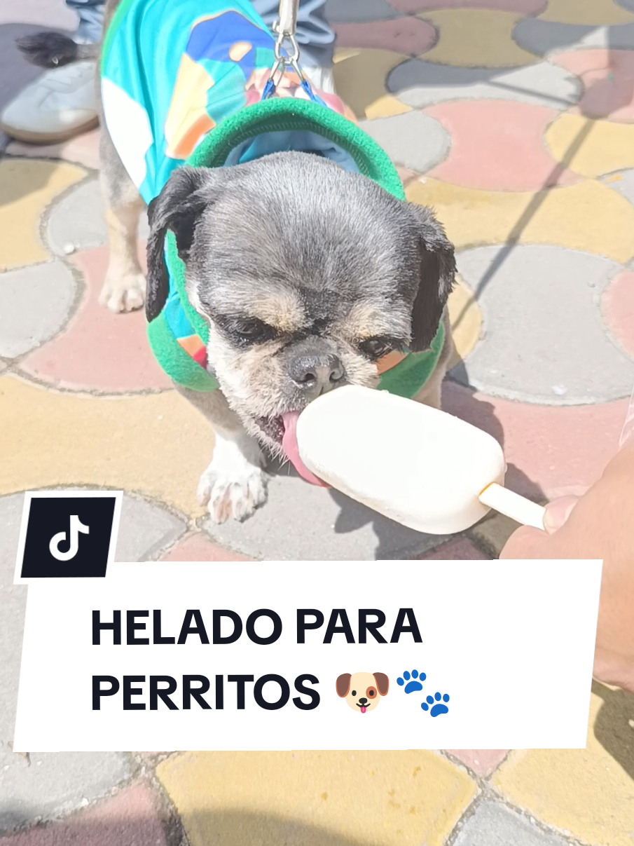 @Doggy Cream