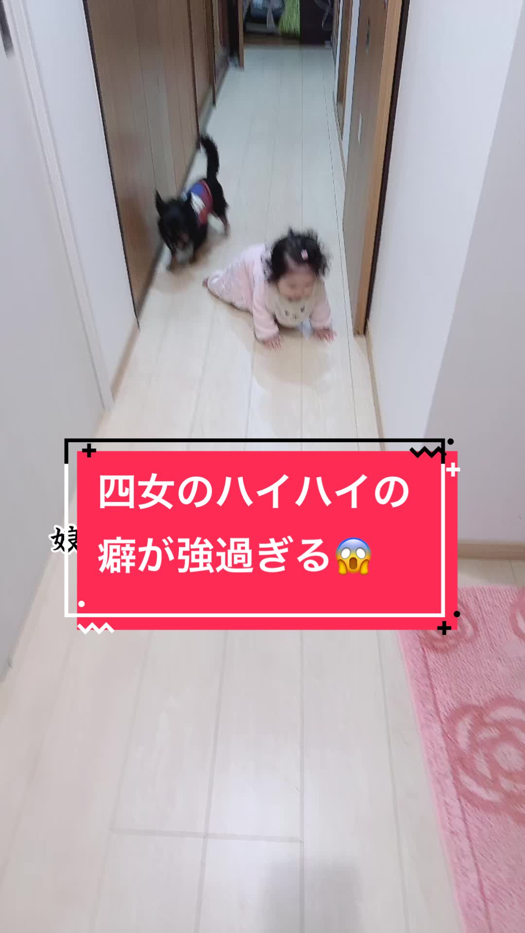 @おとうふちゃん🫠🫧