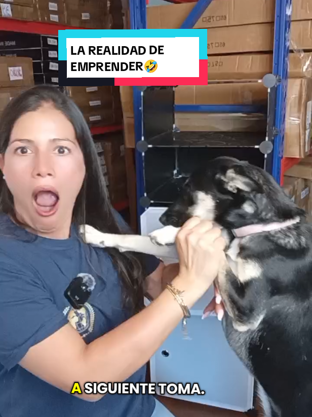 @Imperio De Las Importaciones