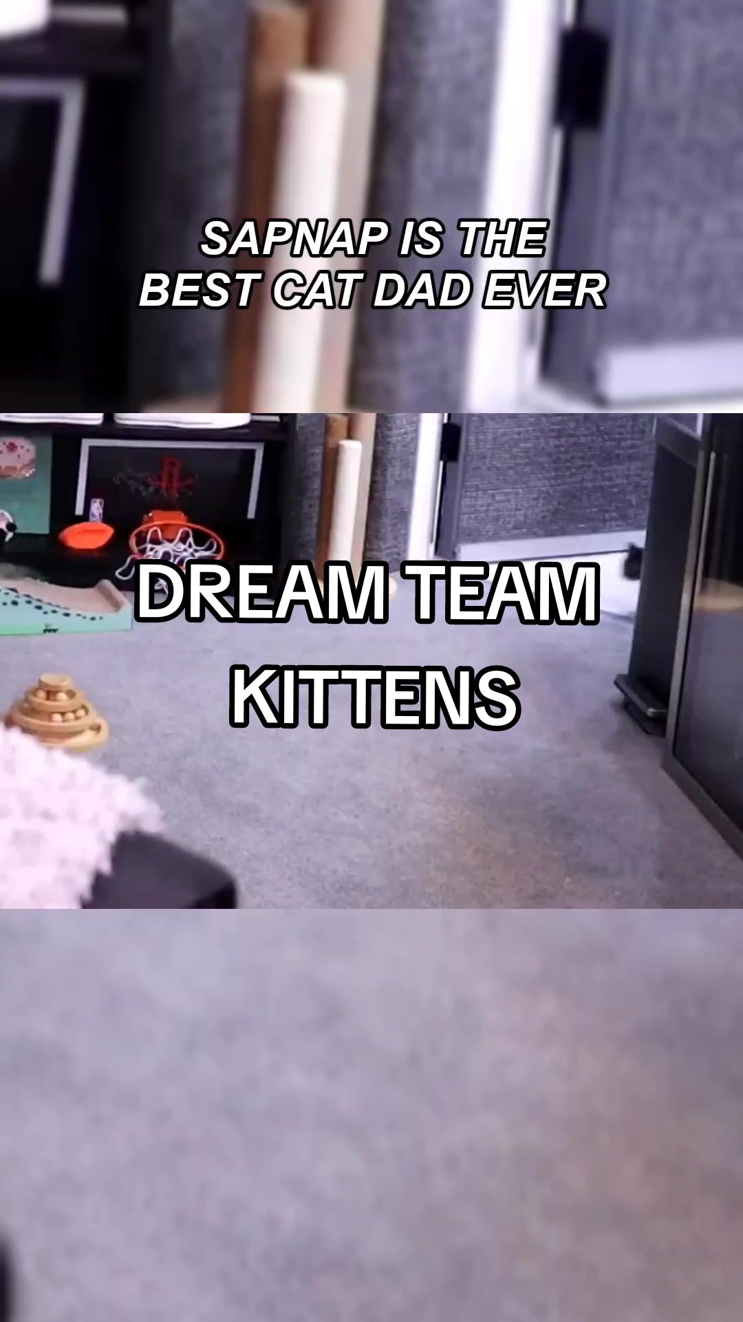 @chantelle