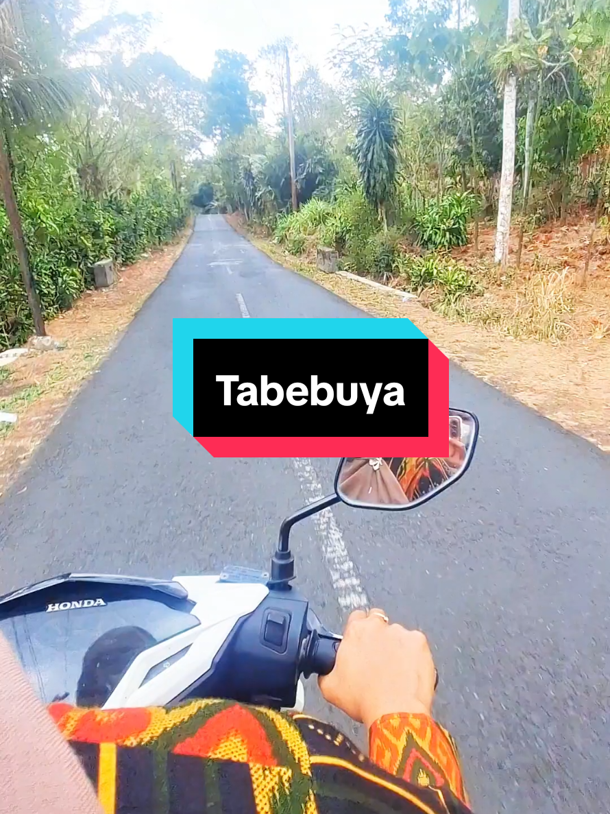 @Wahyu Lestari