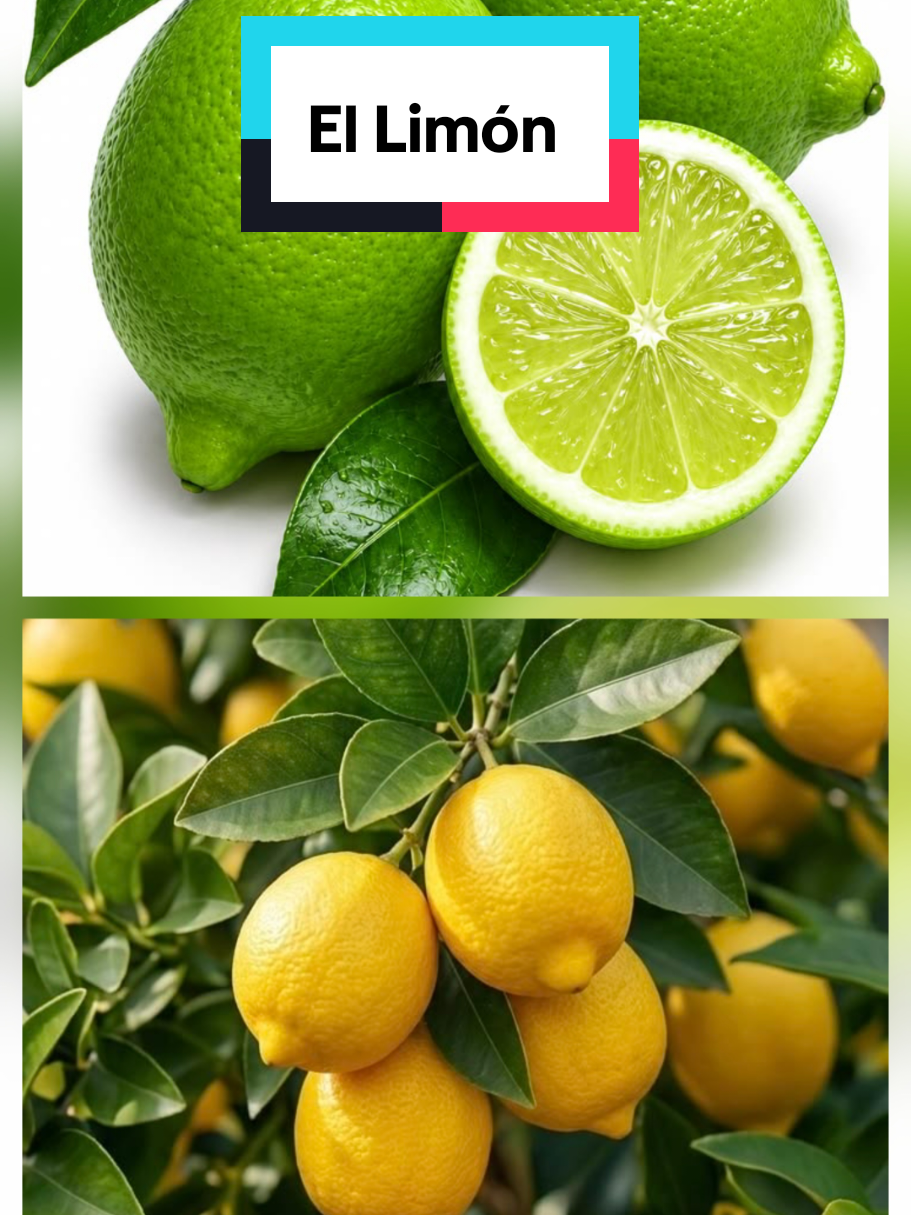 @𝐉𝐨𝐬𝐲
