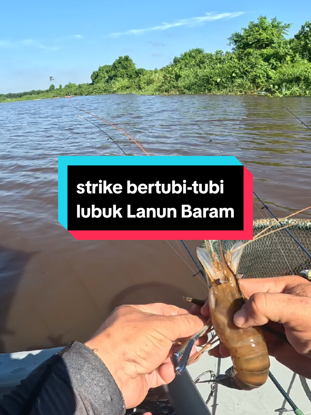 @Lanun Baram
