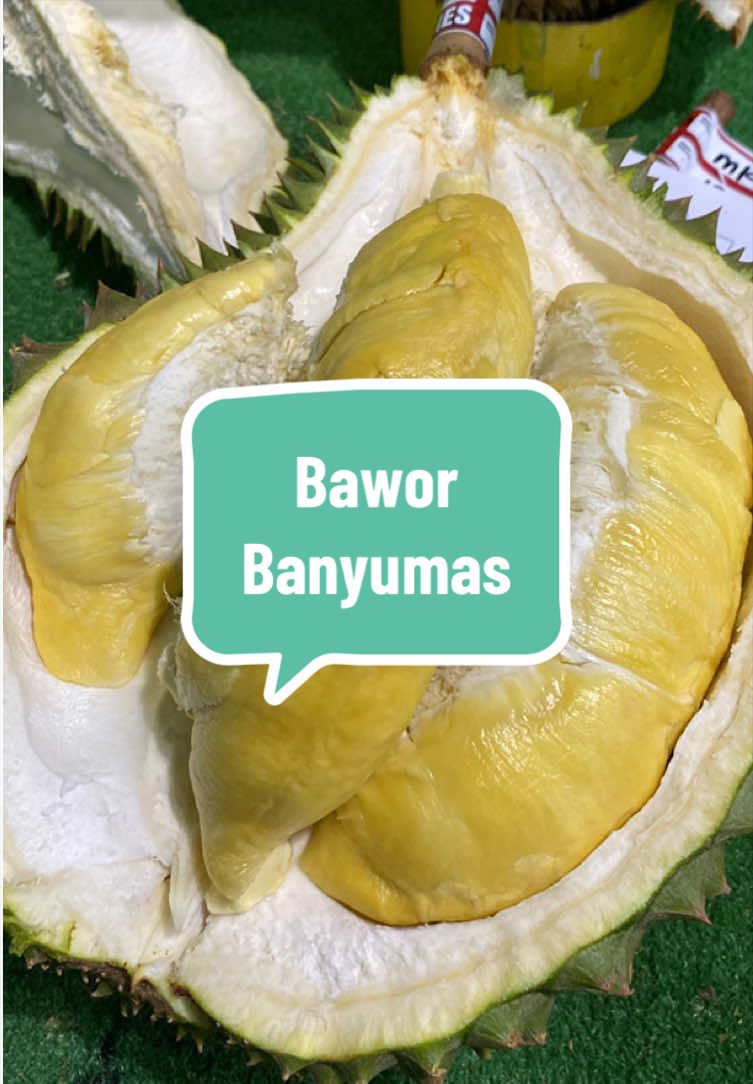 @Rumah Tamma Durian