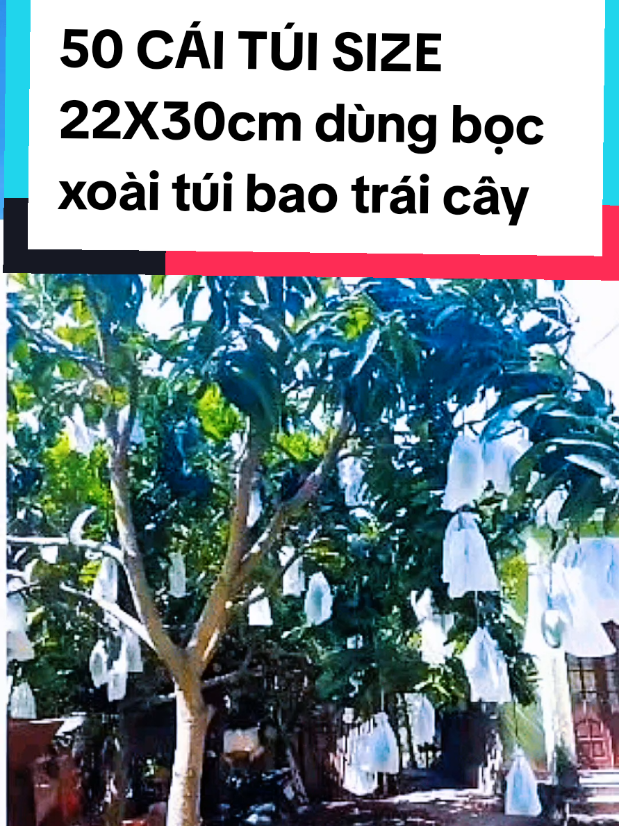 @@1Huyền Nguyễn