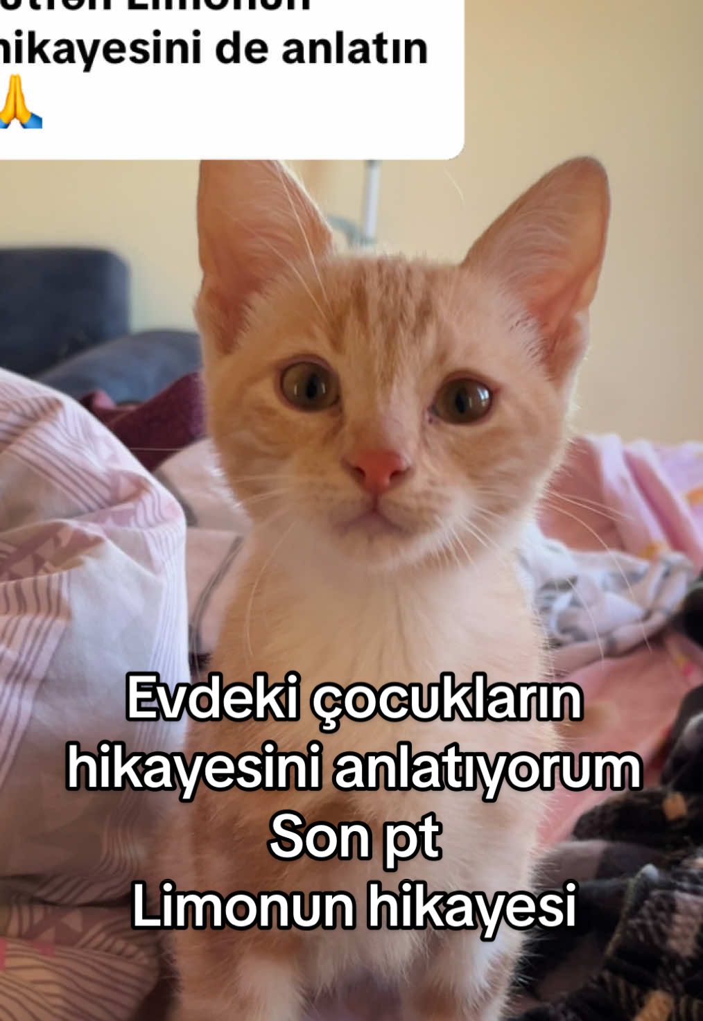 @Beyza🐾