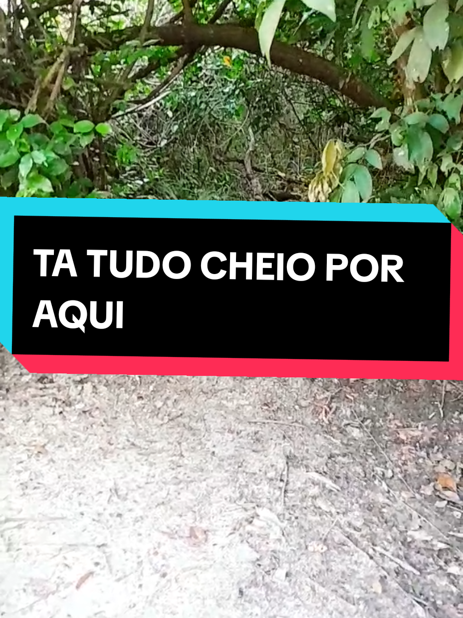 @Marinete Santos