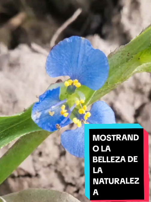 @Eliseo López