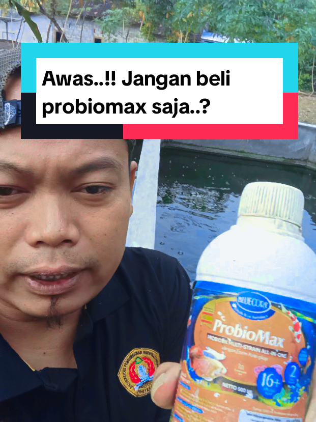 @Kang_Ewi