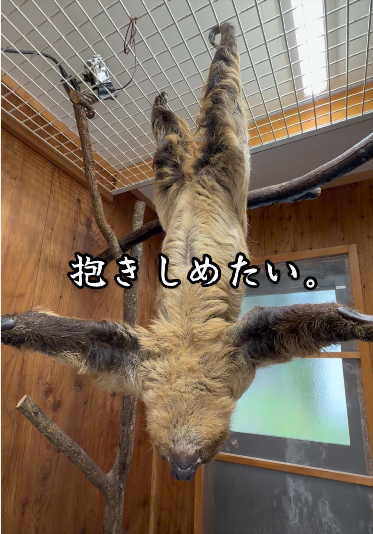 @草津熱帯圏