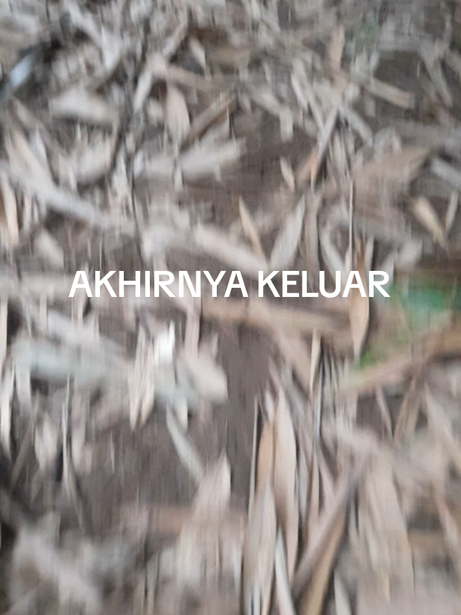 @semua barang murah🤩