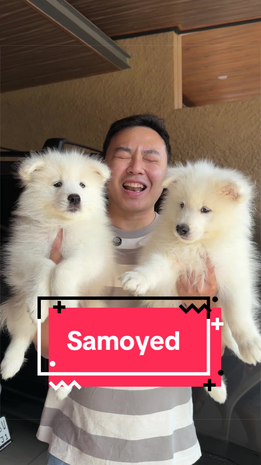 @Koko Guguk
