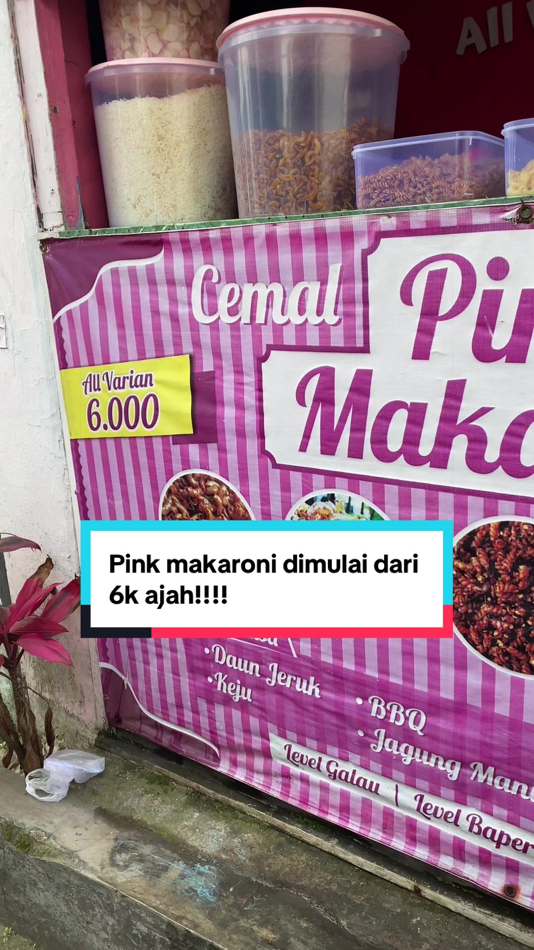 @Si CAMPERNIK✨
