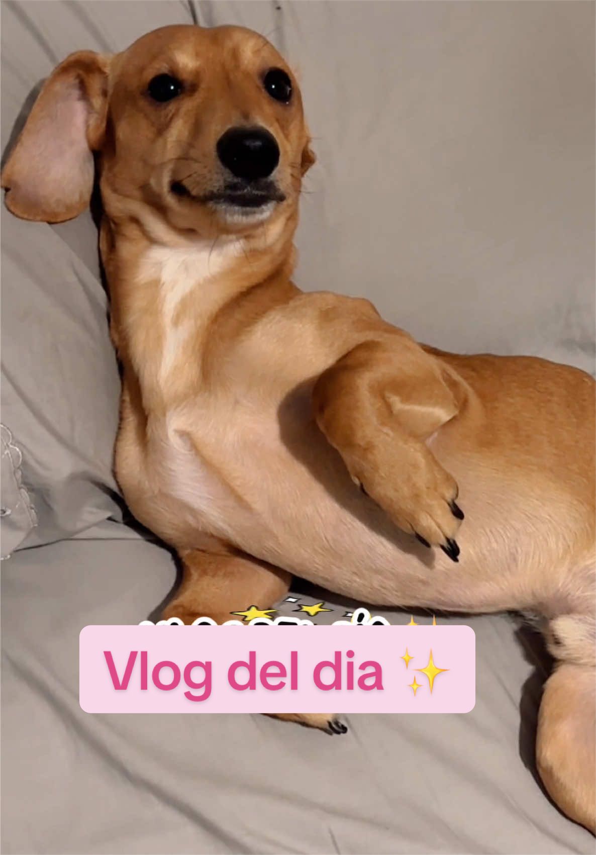 @Aquisoyfran