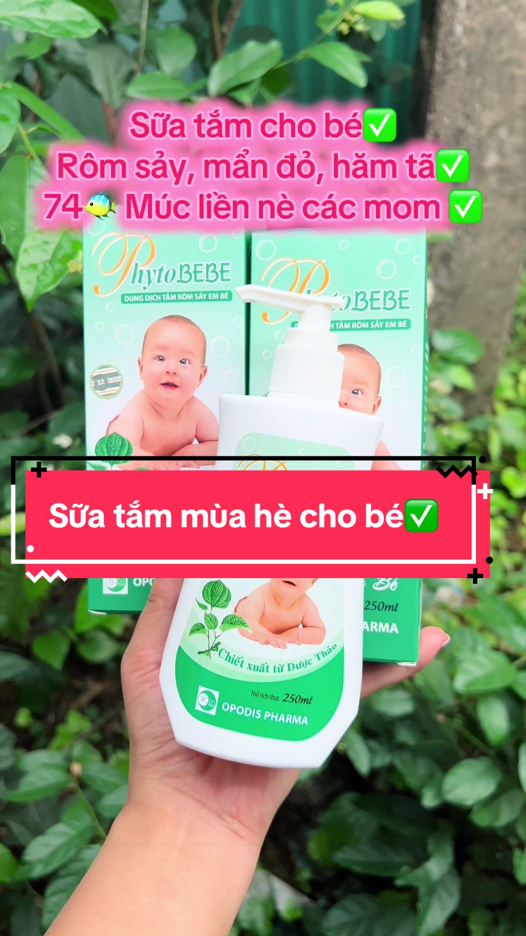 @Dâu Vùng Cao
