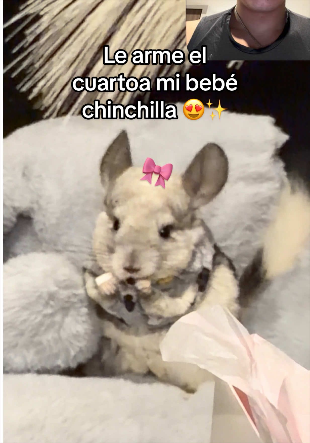 @Creador del exito