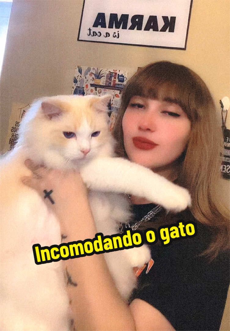 @๐ซ๐๐๐๐๐ โก