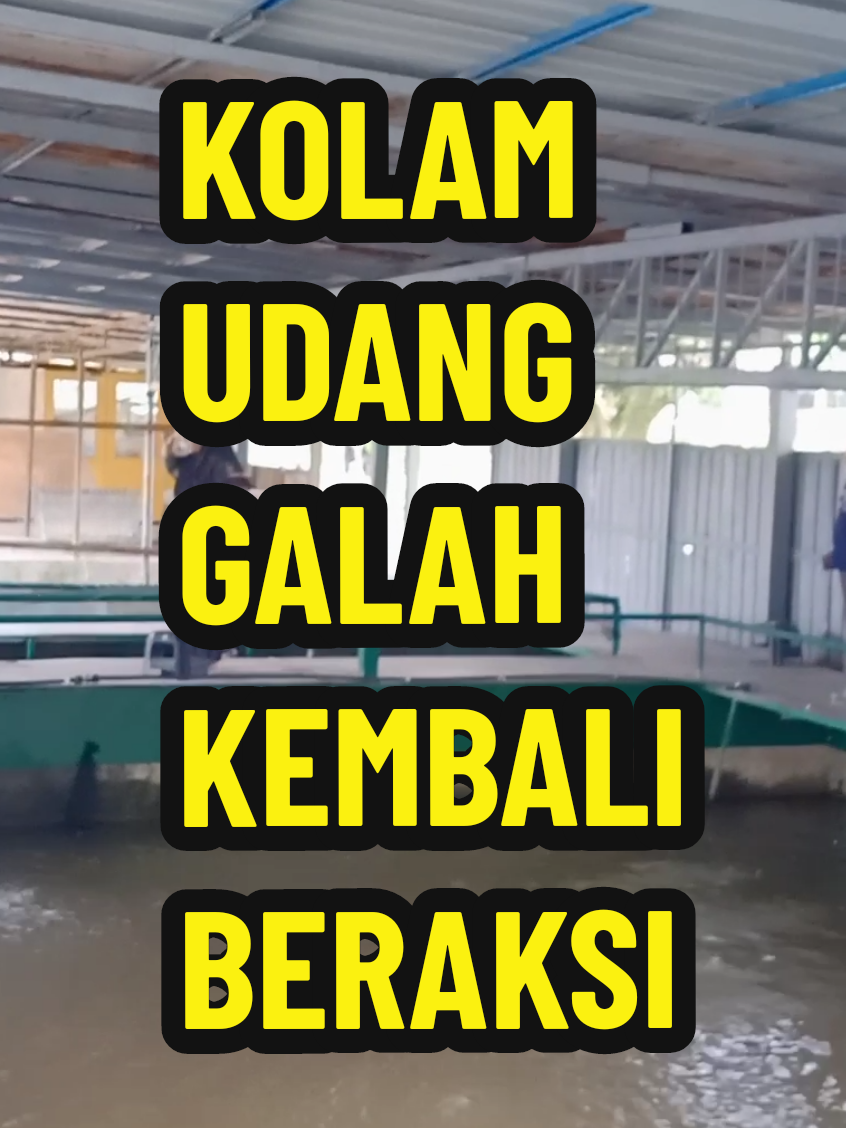 @SilatangBugis