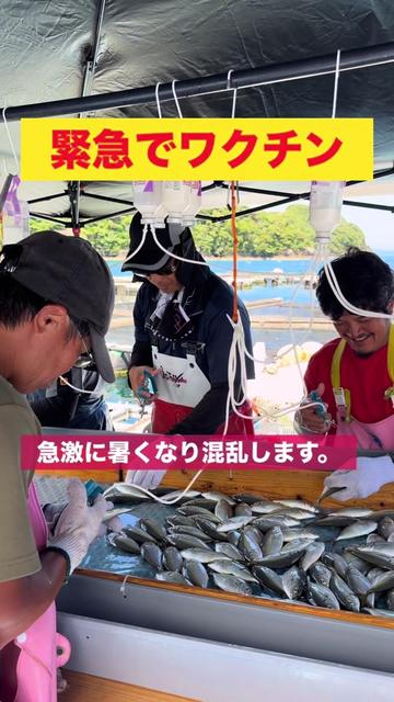 @長崎のイケメン漁師@坂野水産