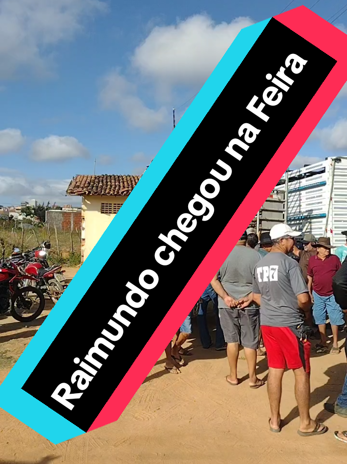 @Patricio do Ceará 🌵