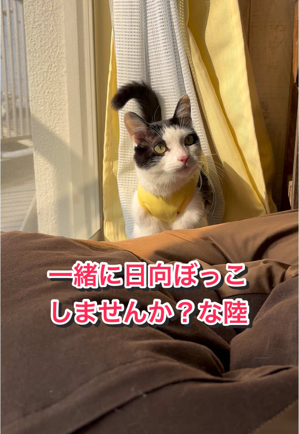 @陸丸 Rikumaru