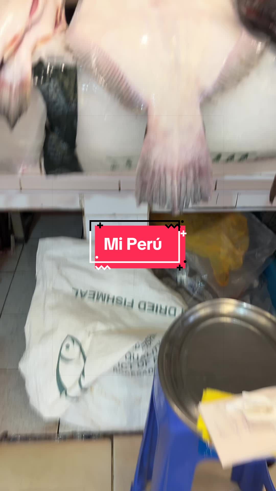 @cofochita