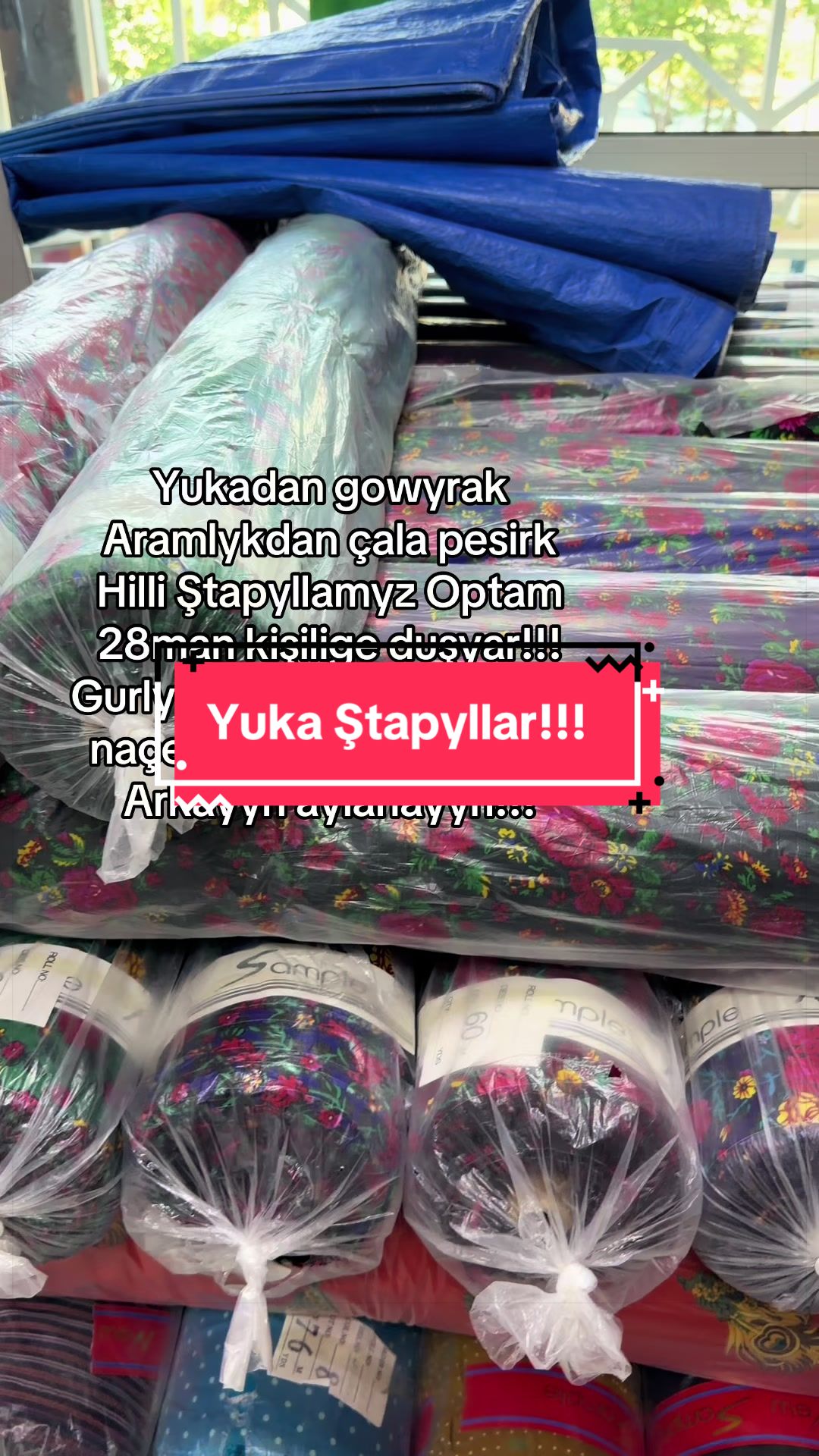 @Birinji el Optam Stapyllar1