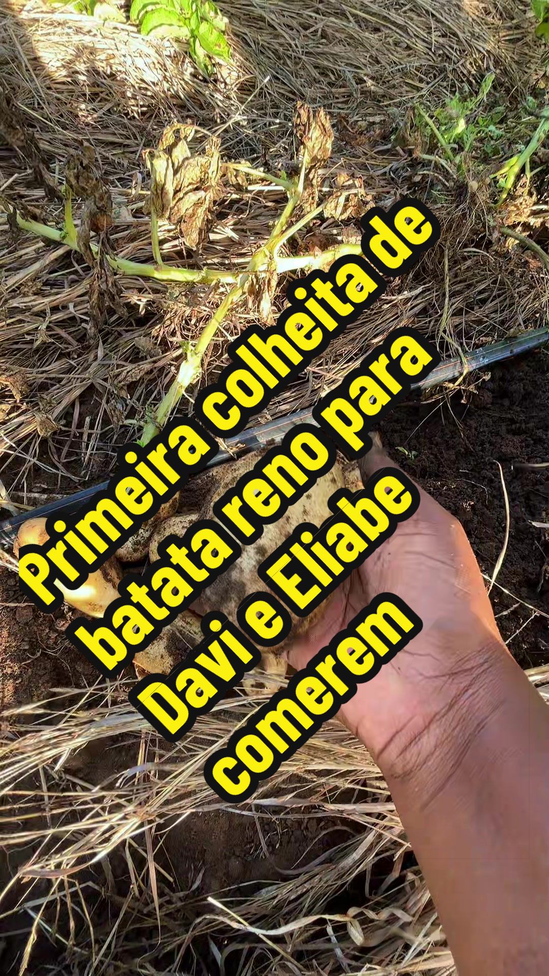 @Felicidade Gotine Firmino