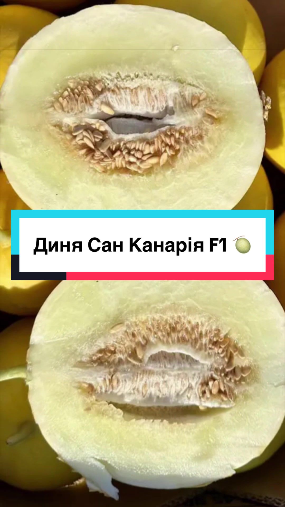 @Золотий Гектар|Насіння,Добрива