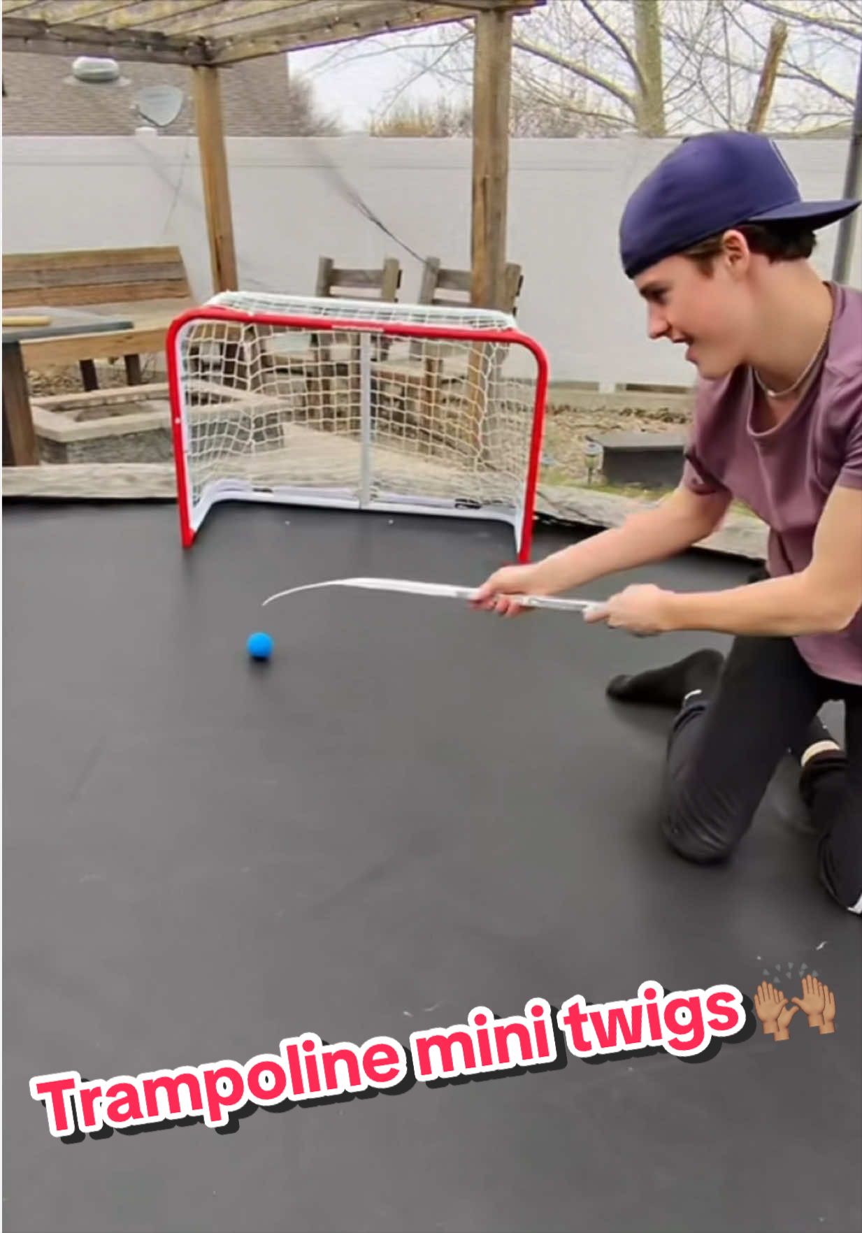 @The TikTok Goalie