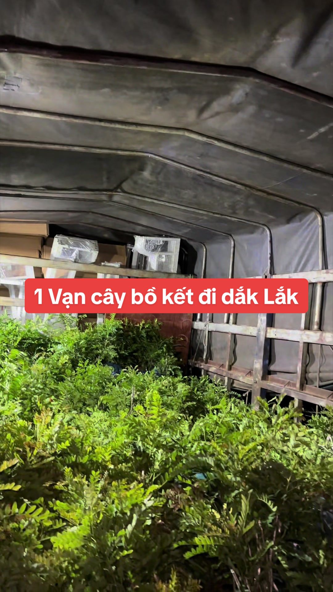 @Nh&agrave; Vườn Vũ Mai