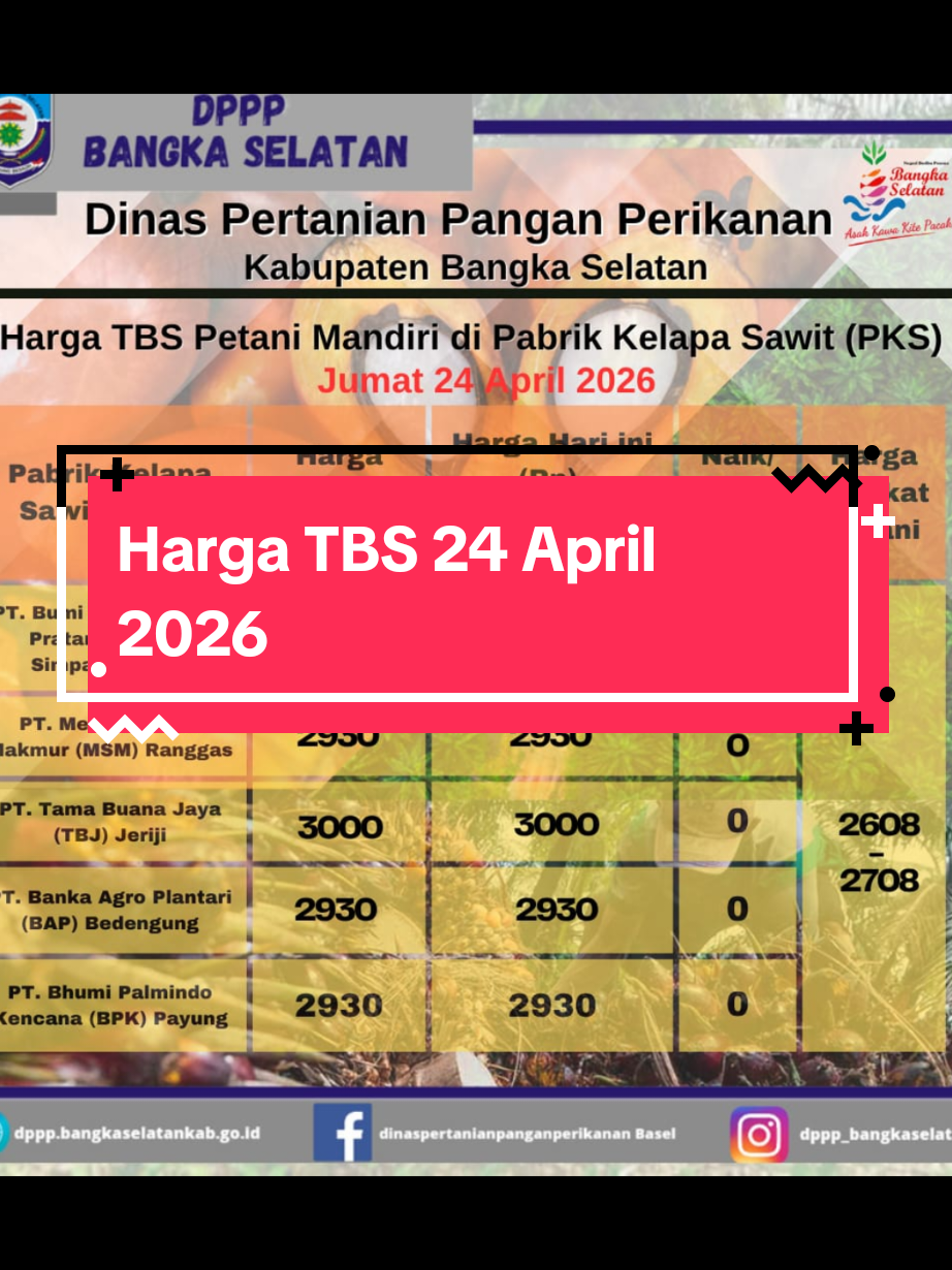 @IG Nusantara