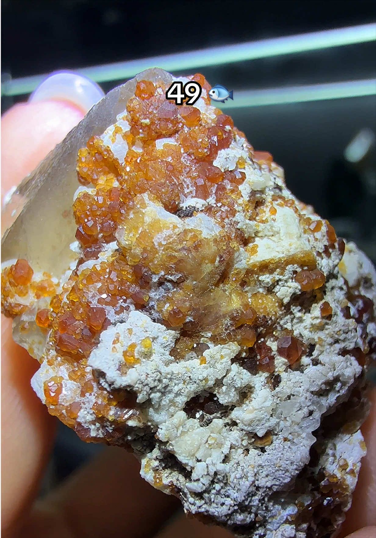 @Halen Crystal