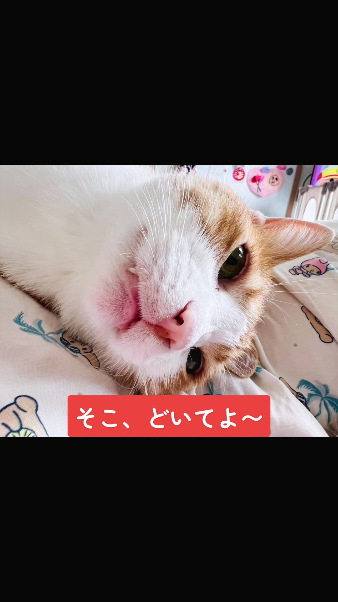 @みーこchannel