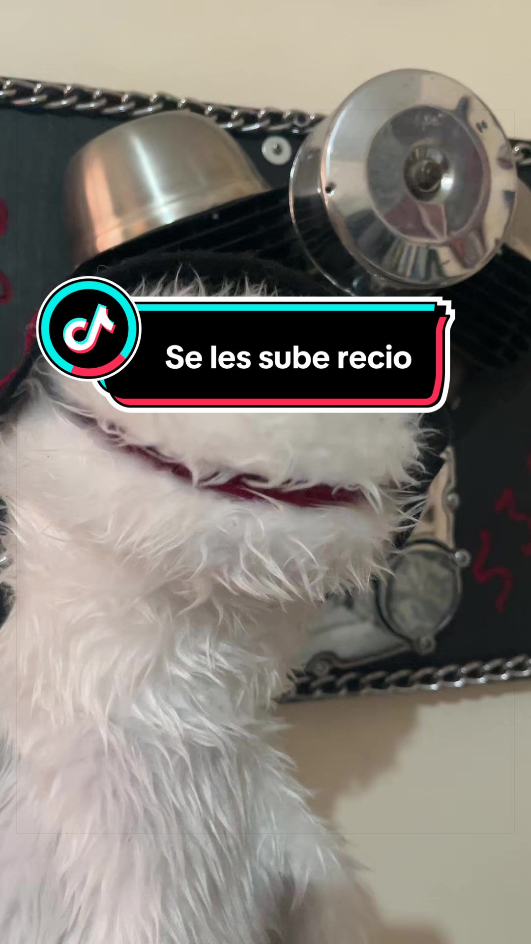 @Benjamin Camacho