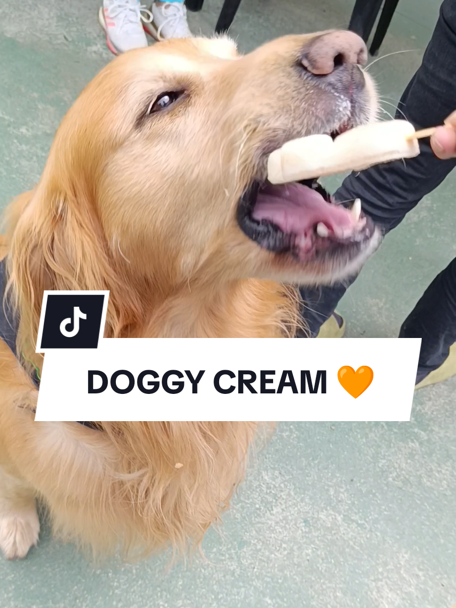 @Doggy Cream