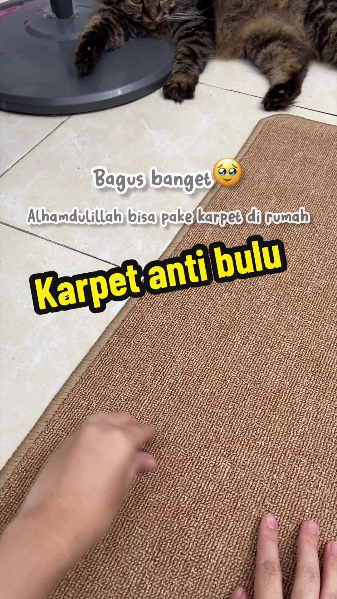 @Olle & Arik