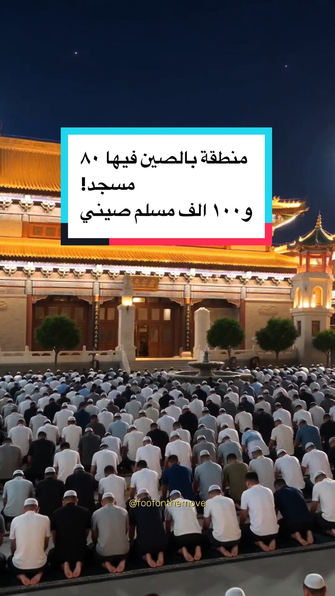 @Wafaa
