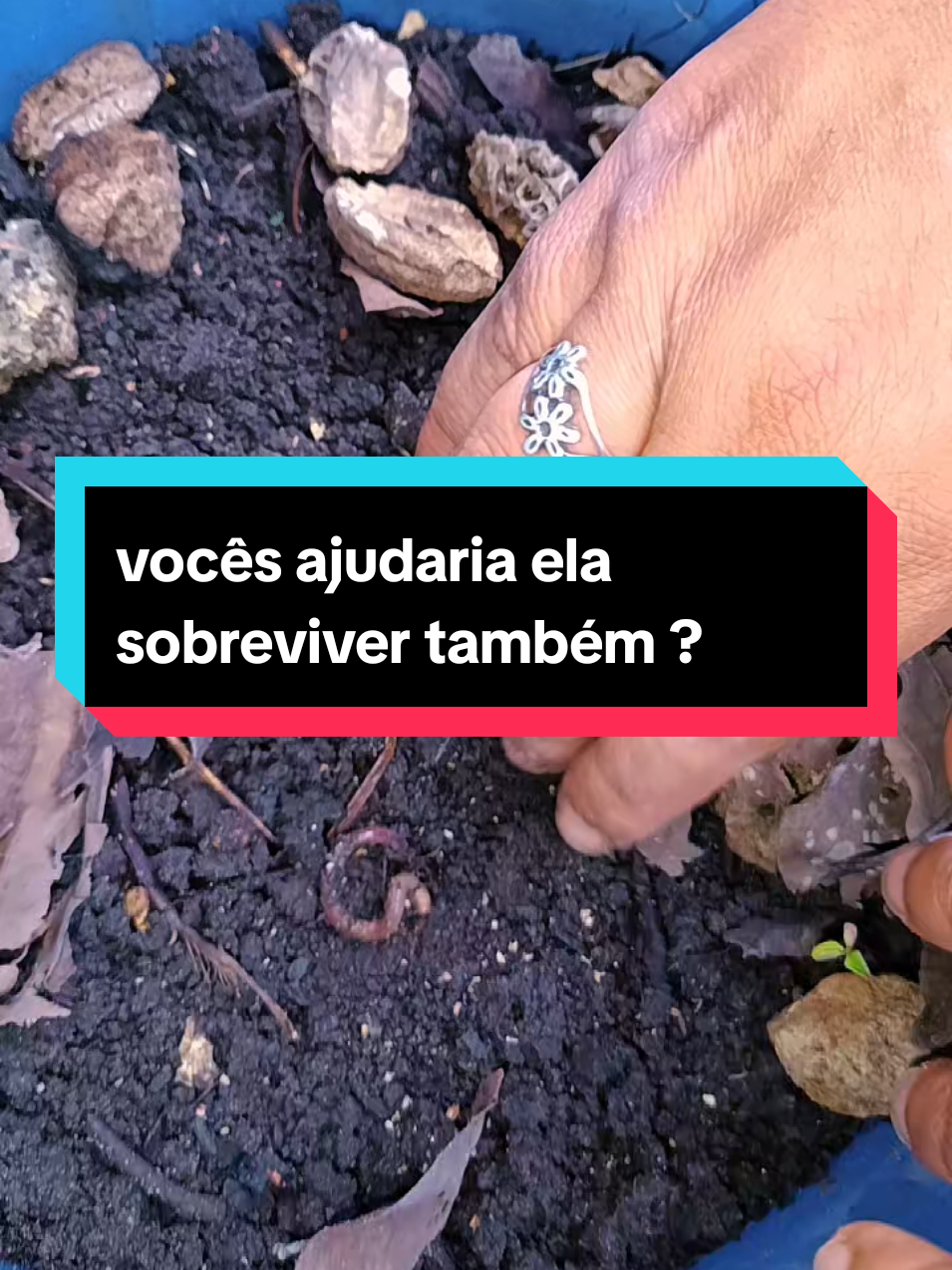 @lu Moreira
