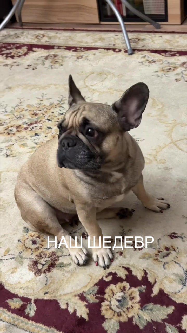 @lara_brend312