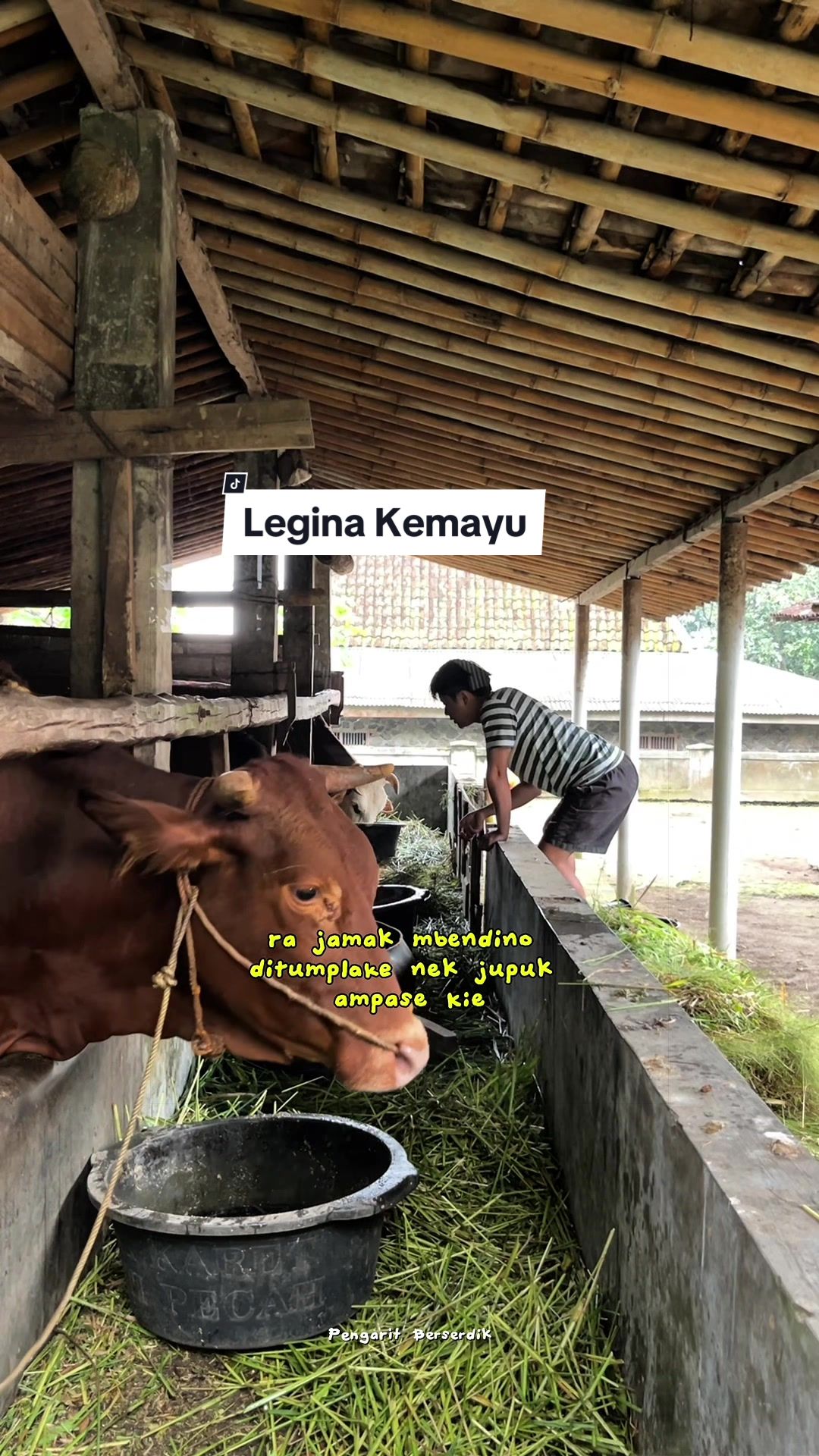 @Pengarit Berserdik