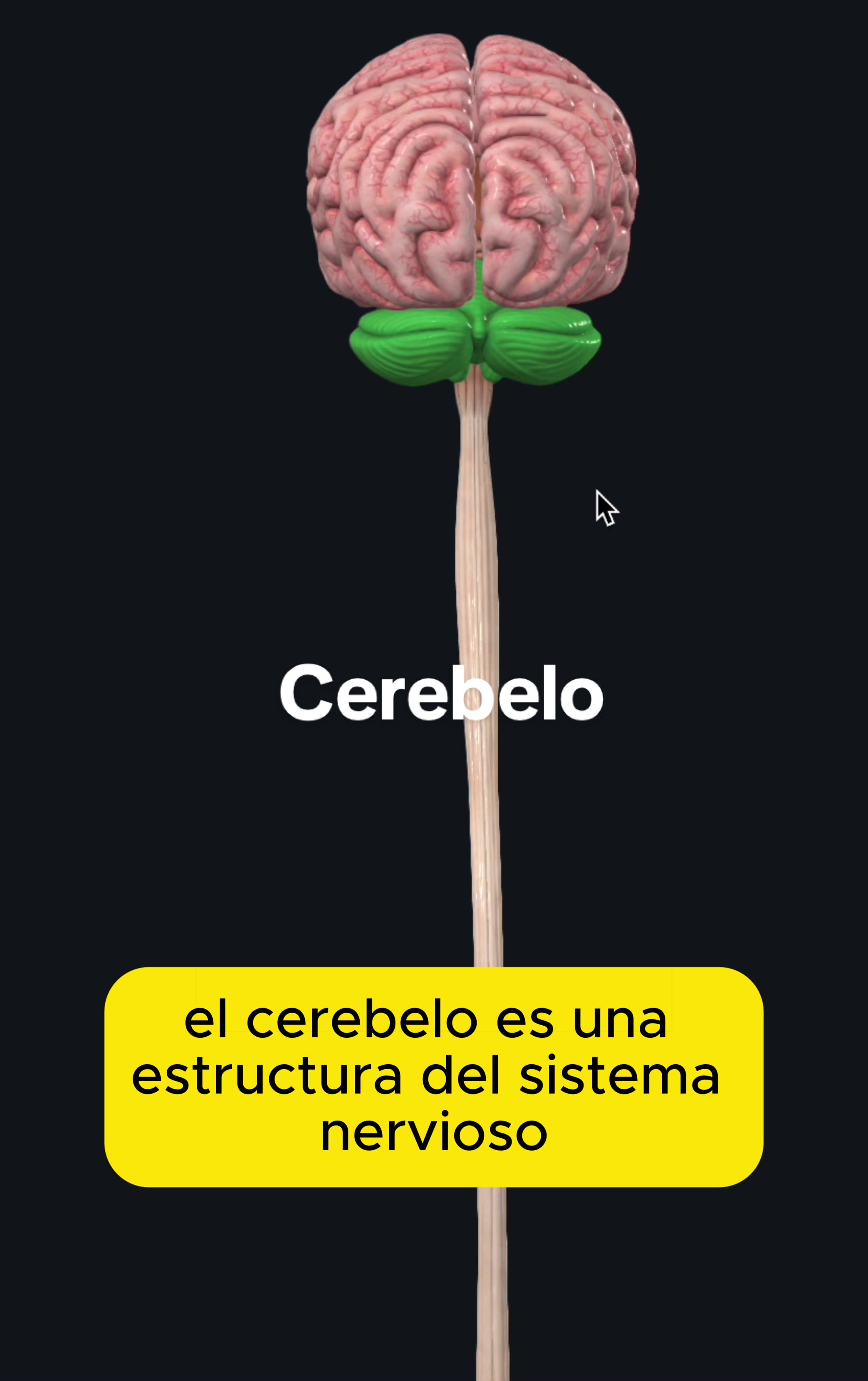 @Gerardo Montiel